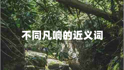不同凡响的近义词