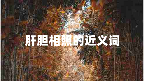 肝胆相照的近义词