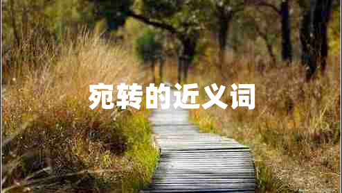 宛转的近义词