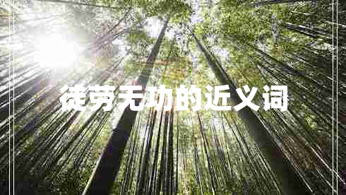 徒劳无功的近义词