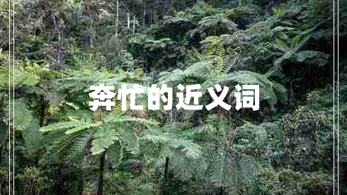 奔忙的近义词