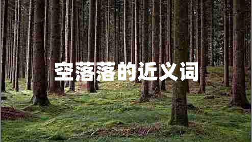 空落落的近义词