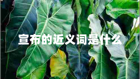 宣布的近义词是什么