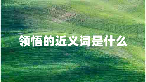 领悟的近义词是什么