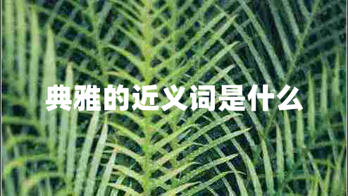 典雅的近义词是什么