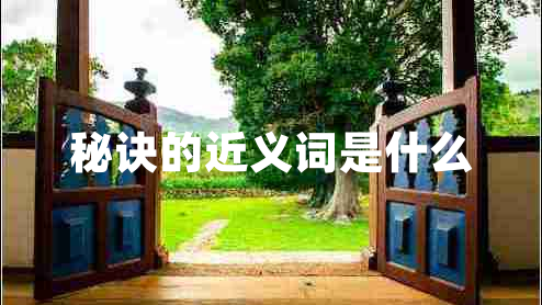 秘诀的近义词是什么