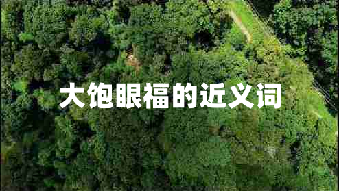 大饱眼福的近义词
