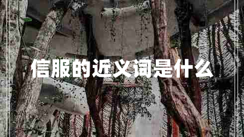 信服的近义词是什么