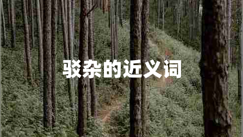 驳杂的近义词