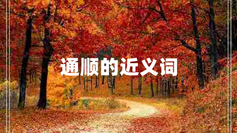 通顺的近义词