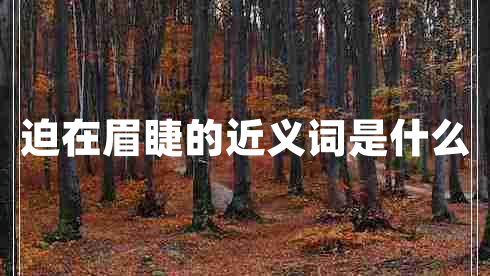 迫在眉睫的近义词是什么