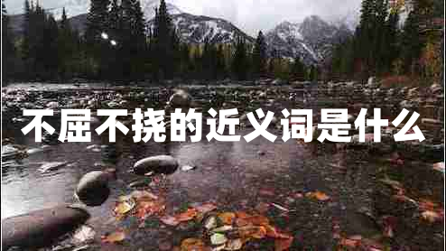 不屈不挠的近义词是什么