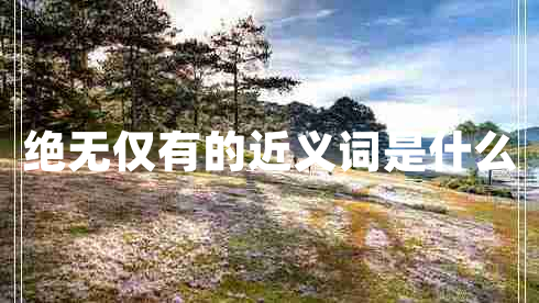 绝无仅有的近义词是什么