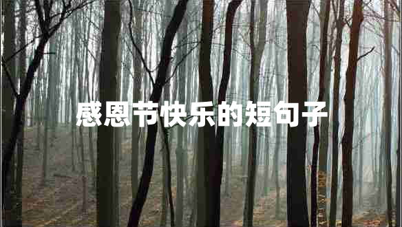 感恩节快乐的短句子