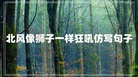 北风像狮子一样狂吼仿写句子