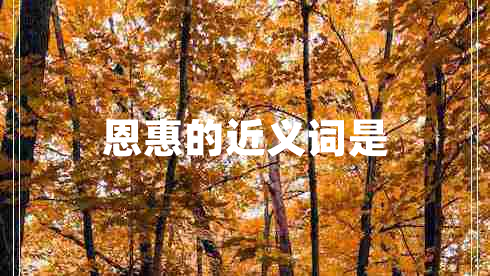 恩惠的近义词是