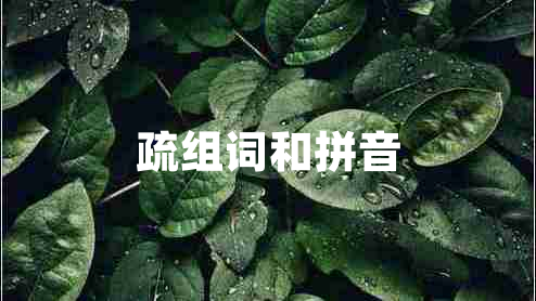 疏组词和拼音