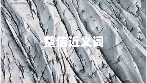 整洁近义词