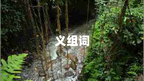 义组词