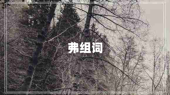 弗组词