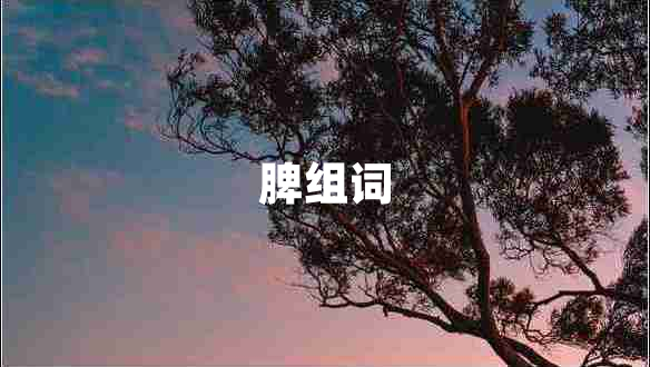 脾组词