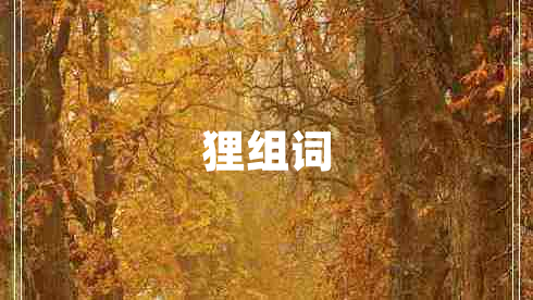 狸组词