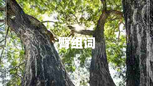 臀组词
