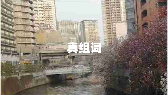 真组词