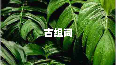 古组词