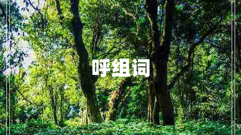 呼组词