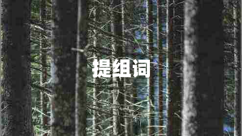 提组词