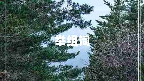 举组词