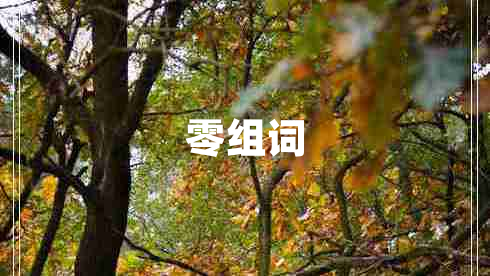 零组词