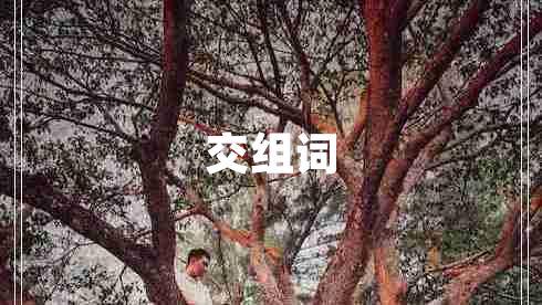 交组词