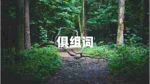 俱组词