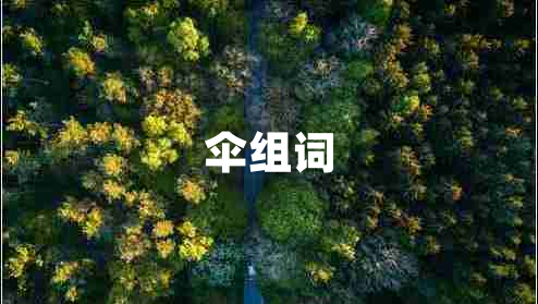 伞组词