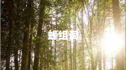蜂组词