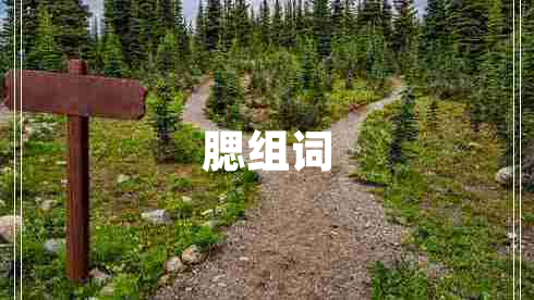 腮组词