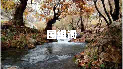 围组词