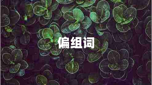 偏组词