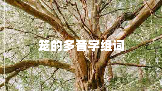 笼的多音字组词