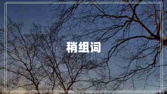 稍组词