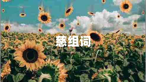 慈组词