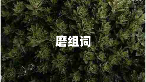 磨组词