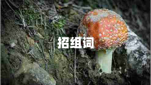 招组词