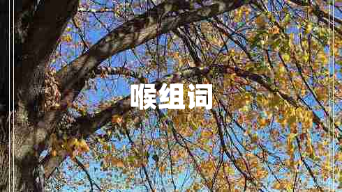 喉组词