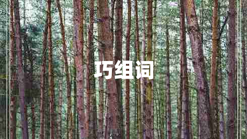 巧组词