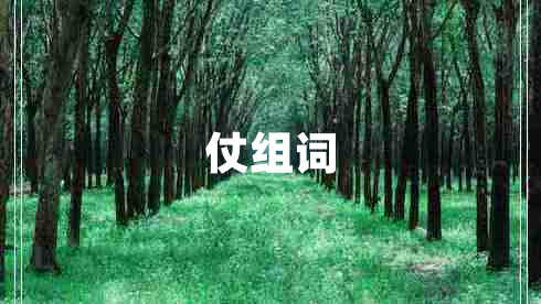 仗组词
