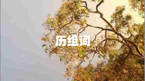 历组词