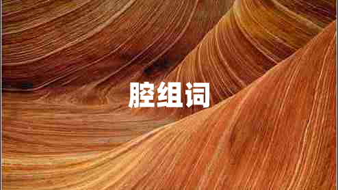 腔组词
